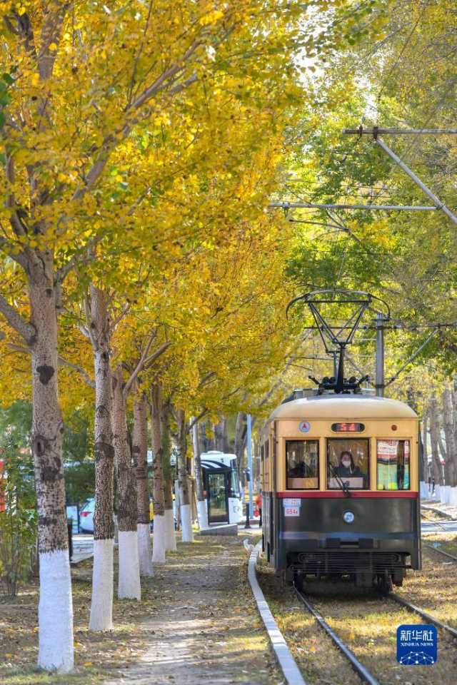 长春秋景如画 长春秋景如画