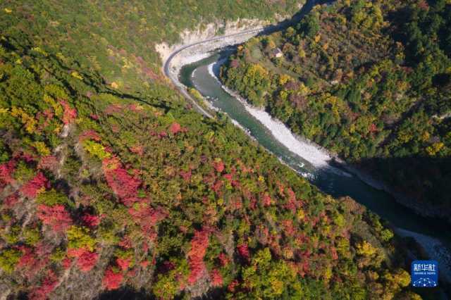 新华全媒+|秦岭:和谐共生的金秋画卷 新华全媒+|秦岭:和谐共生的金秋画卷