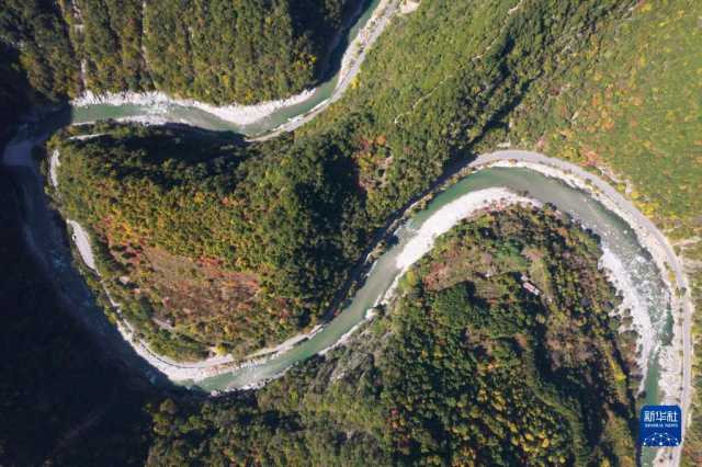 新华全媒+|秦岭:和谐共生的金秋画卷 新华全媒+|秦岭:和谐共生的金秋画卷