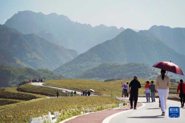 新华全媒+|秦岭:和谐共生的金秋画卷 新华全媒+|秦岭:和谐共生的金秋画卷