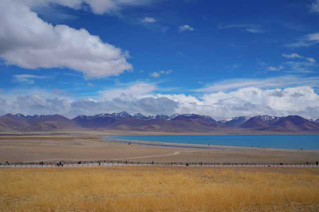 聚焦二十大丨5场集体采访31个代表团,哪些生态环保话题被频频提及? 聚焦二十大丨5场集体采访31个代表团,哪些生态环保话题被频频提及?