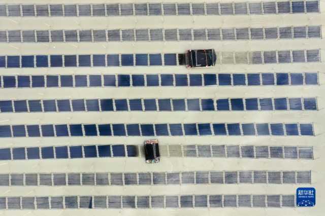 新华全媒+丨福建海上紫菜秋收忙 新华全媒+丨福建海上紫菜秋收忙