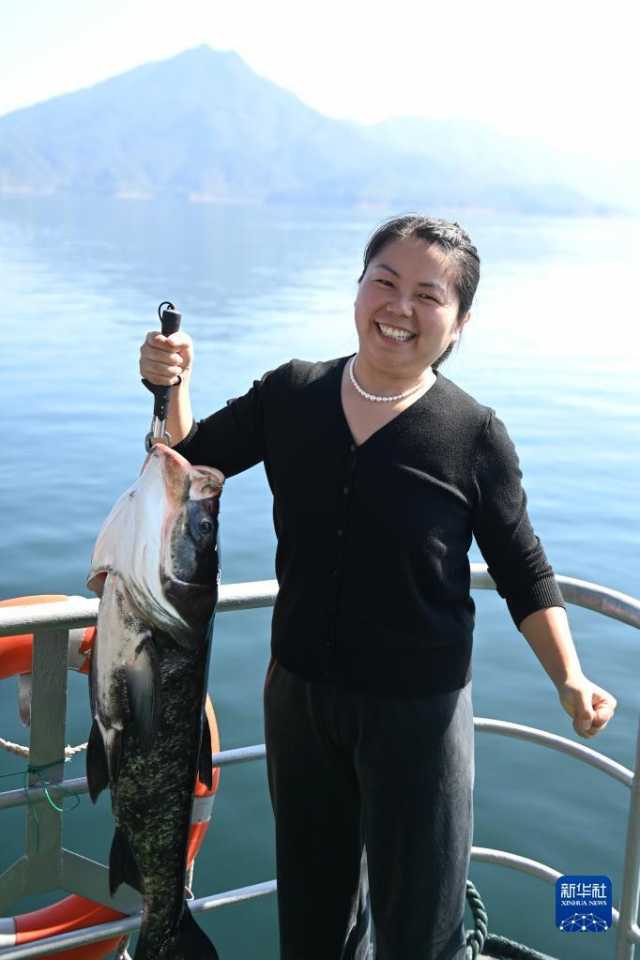 浙江:千岛湖巨网捕鱼迎丰收 浙江:千岛湖巨网捕鱼迎丰收