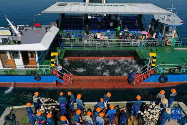 浙江:千岛湖巨网捕鱼迎丰收 浙江:千岛湖巨网捕鱼迎丰收