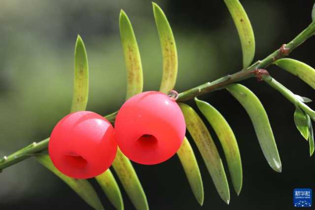 微视界——霜降