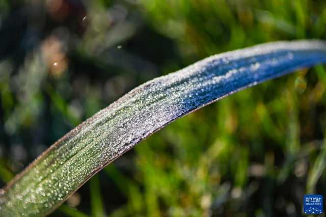 微视界——霜降