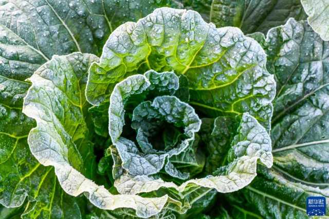 微视界——霜降