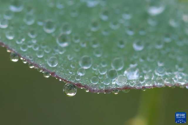 微视界——霜降