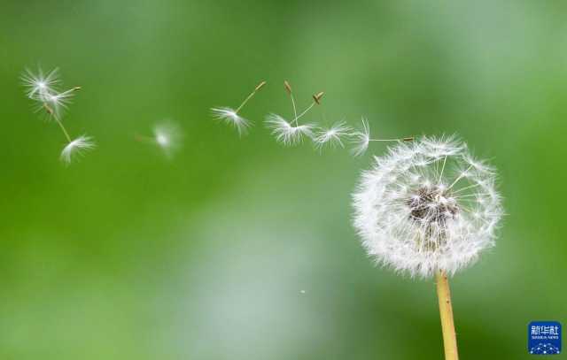 微视界——霜降