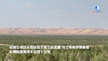 全球连线｜中国北方“沙海”中的绿色屏障