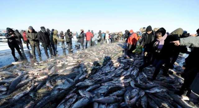 二十大时光|查干湖“年年有鱼”源自一本生态账 二十大时光|查干湖“年年有鱼”源自一本生态账