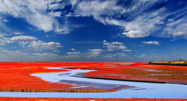 山东扎实推进黄河重大国家战略,打造绿色示范先行样本 山东扎实推进黄河重大国家战略,打造绿色示范先行样本