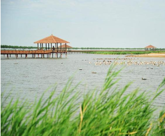 二十大时光|查干湖“年年有鱼”源自一本生态账 二十大时光|查干湖“年年有鱼”源自一本生态账