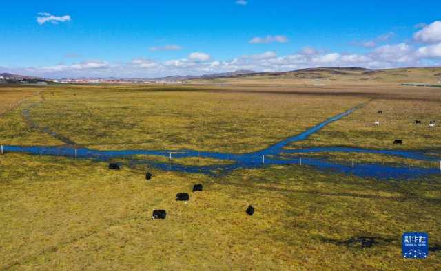 瞰黄河上游湿地秋韵 瞰黄河上游湿地秋韵