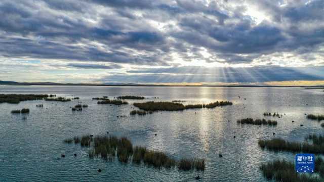 瞰黄河上游湿地秋韵 瞰黄河上游湿地秋韵