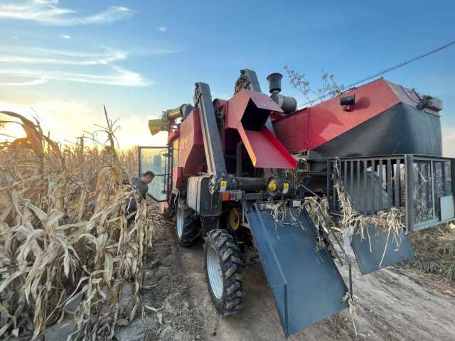 新华全媒+｜山西大豆玉米带状复合种植收获一线扫描