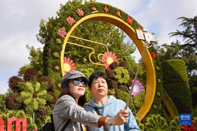 青岛:赏菊正当时 青岛:赏菊正当时