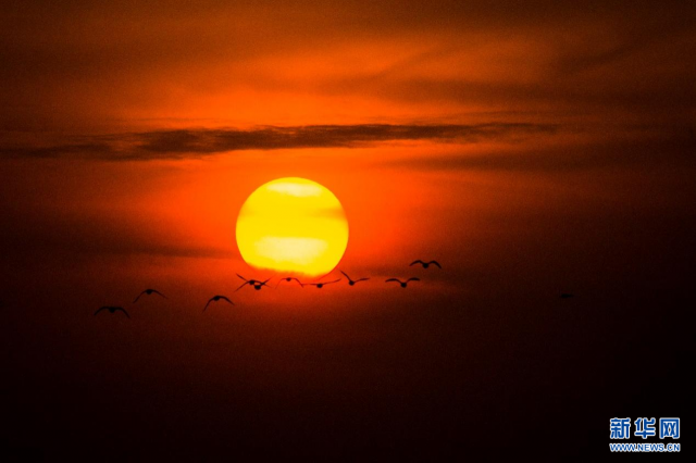 【“飞阅”中国】候鸟“歇脚”塞外草原 【“飞阅”中国】候鸟“歇脚”塞外草原