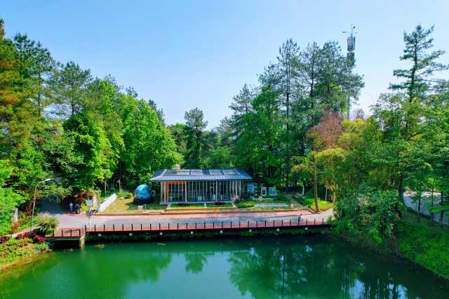 重庆缙云山:绿色再返青山 红火日子重归大山 重庆缙云山:绿色再返青山 红火日子重归大山