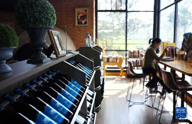 新华全媒+丨西安:发展“农业景区” 助力乡村振兴 新华全媒+丨西安:发展“农业景区” 助力乡村振兴