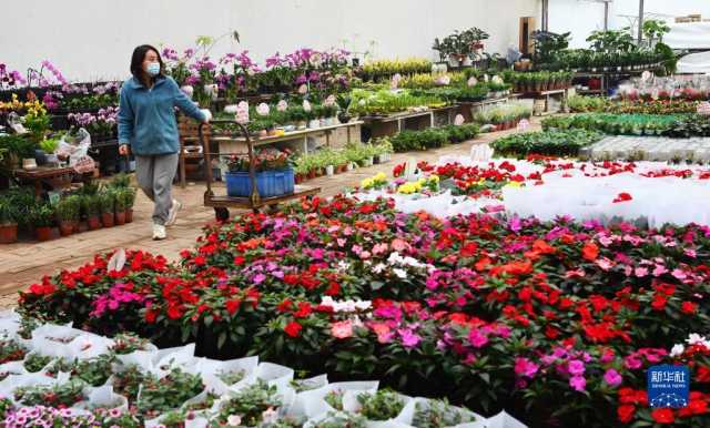 新华全媒+丨西安:发展“农业景区” 助力乡村振兴 新华全媒+丨西安:发展“农业景区” 助力乡村振兴