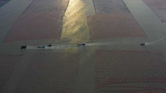 新华全媒+|耕海牧渔忙“秋收” 新华全媒+|耕海牧渔忙“秋收”