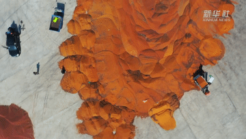 新华全媒+丨山西大宁:火红高粱迎丰收 新华全媒+丨山西大宁:火红高粱迎丰收