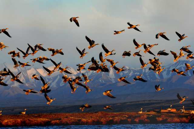 守住自然生态安全边界，筑牢国家西部生态安全屏障——甘肃生态文明建设纪实