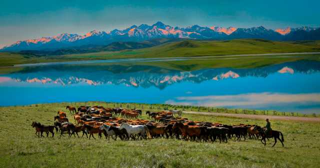 守住自然生态安全边界，筑牢国家西部生态安全屏障——甘肃生态文明建设纪实