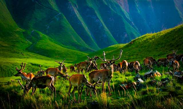 守住自然生态安全边界，筑牢国家西部生态安全屏障——甘肃生态文明建设纪实