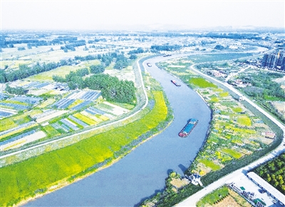 全椒县做好五篇“生态文章” 擦亮高质量发展绿色底色 全椒县做好五篇“生态文章” 擦亮高质量发展绿色底色