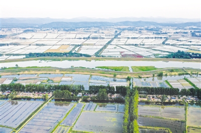 全椒县做好五篇“生态文章” 擦亮高质量发展绿色底色 全椒县做好五篇“生态文章” 擦亮高质量发展绿色底色