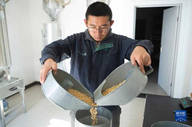 新华全媒+丨中国产粮第一大省秋粮收购有序展开