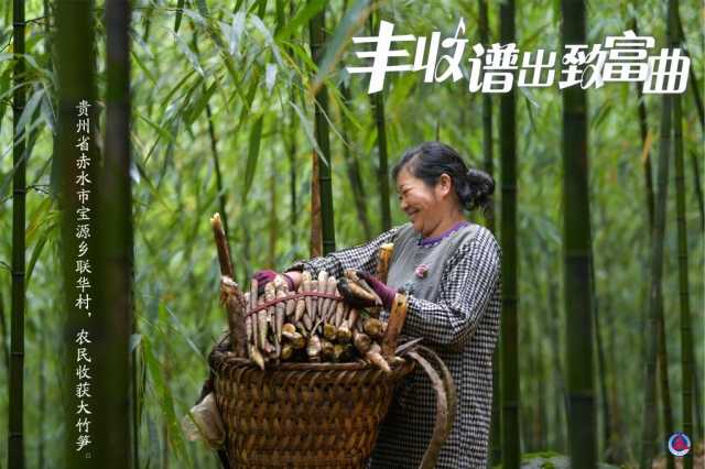 丰收谱出致富曲 丰收谱出致富曲