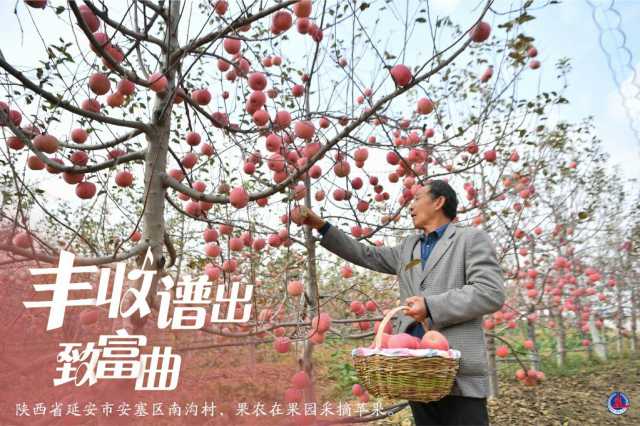 丰收谱出致富曲 丰收谱出致富曲