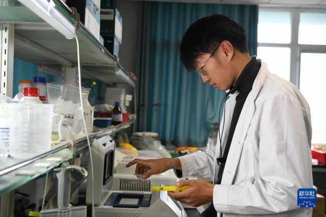 新华全媒+丨科技育种路 追梦不止步 新华全媒+丨科技育种路 追梦不止步