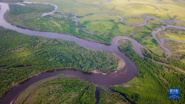 湿地之美丨内蒙古额尔古纳湿地