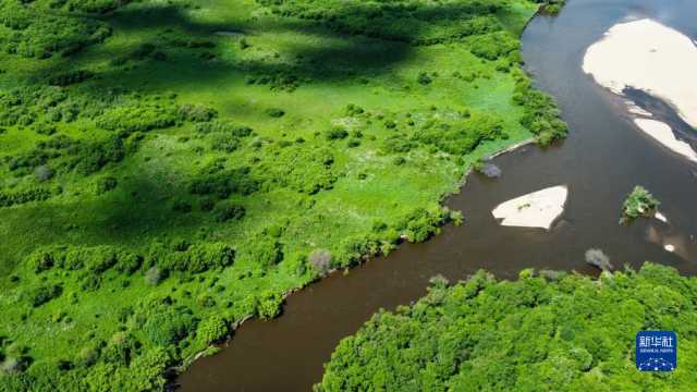 湿地之美丨内蒙古额尔古纳湿地