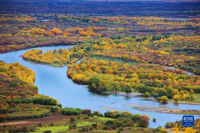 湿地之美丨内蒙古额尔古纳湿地