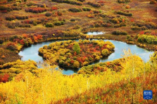 湿地之美丨内蒙古额尔古纳湿地