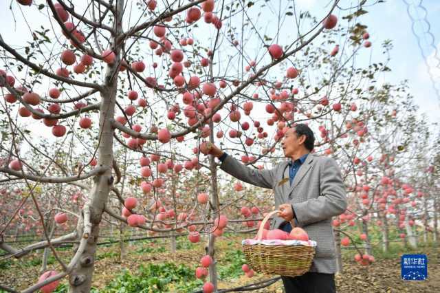 走进陕西延安南沟村