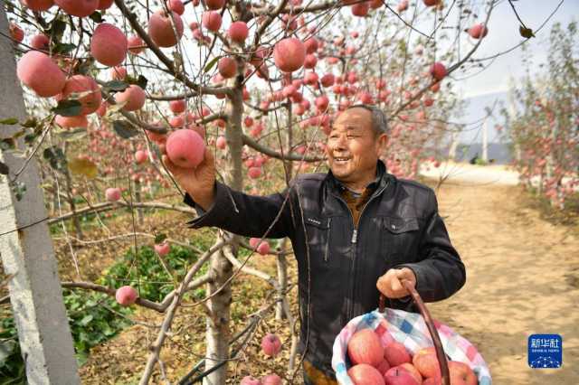 走进陕西延安南沟村