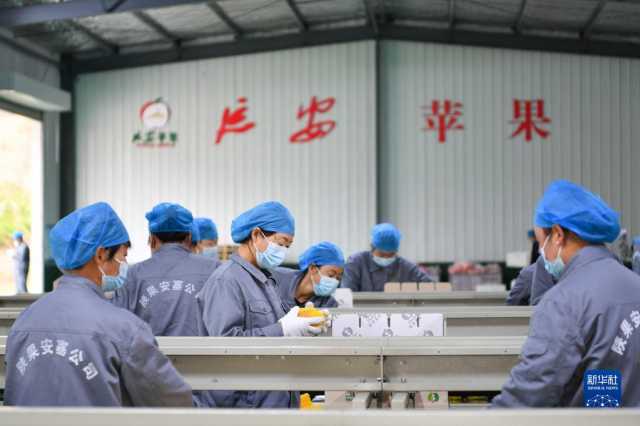 走进陕西延安南沟村