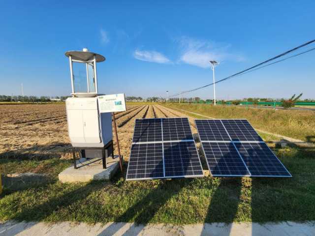 新华全媒+｜稻田里点起“两盏灯”——安徽农业绿色发展一线探访