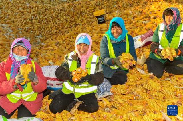 新华全媒+｜吉林：秋粮收储进行时 “翻地越冬”备明春