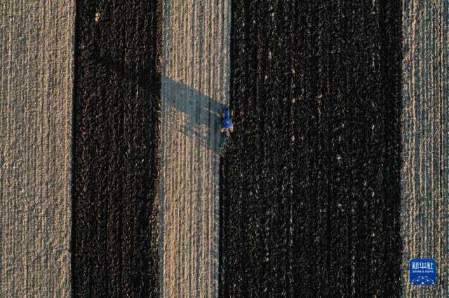 新华全媒+｜吉林：秋粮收储进行时 “翻地越冬”备明春