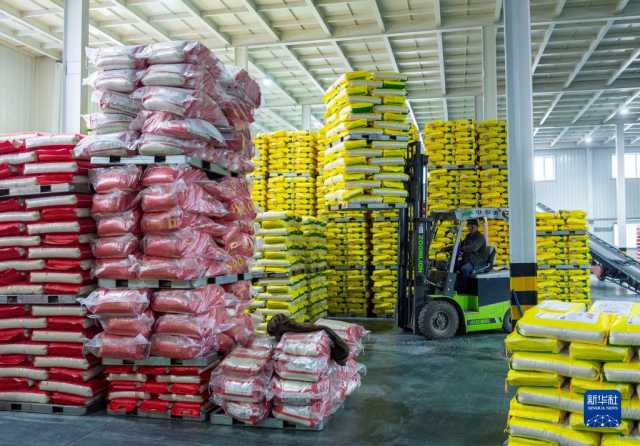 新华全媒+丨产粮第一大省为“中国饭碗”添米加饭 新华全媒+丨产粮第一大省为“中国饭碗”添米加饭