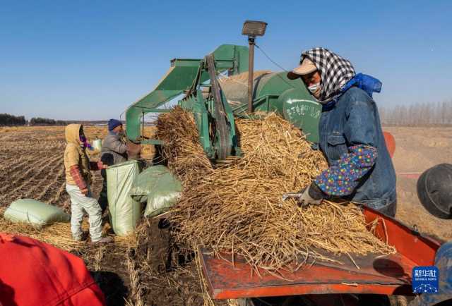 新华全媒+丨产粮第一大省为“中国饭碗”添米加饭 新华全媒+丨产粮第一大省为“中国饭碗”添米加饭