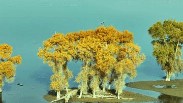 新华全媒+｜浅红深黄秋意浓 新疆1700万亩胡杨林迎来最佳观赏季