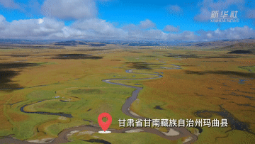 新华全媒+｜探访黄河首曲 感受高原湿地治理成效